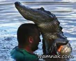 رقص با تمساح